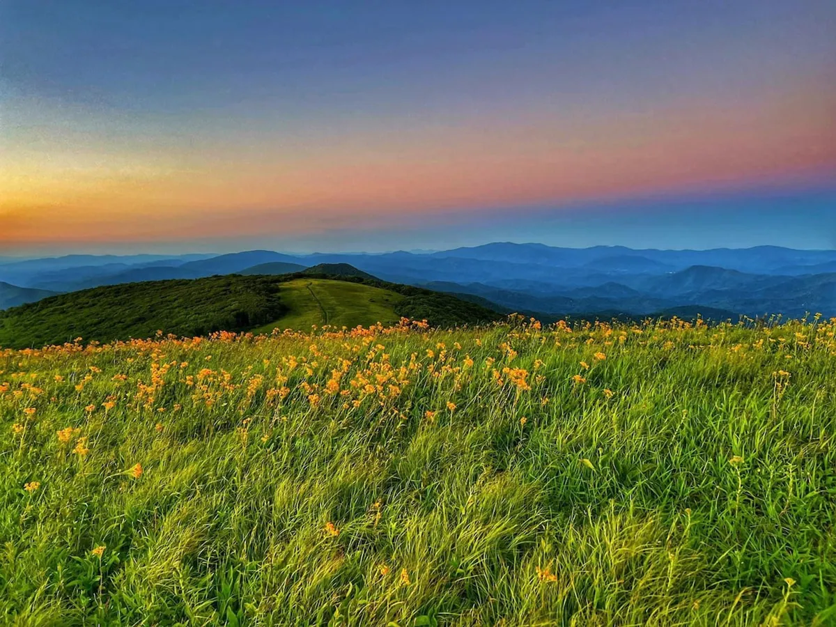 A sweeping view of vibrant wildflowers carpeting rolling green hills, with majestic distant mountains and a colorful sky in the background. The natural landscape is untouched, inviting exploration and immersion in the beauty of the Appalachian wilderness.