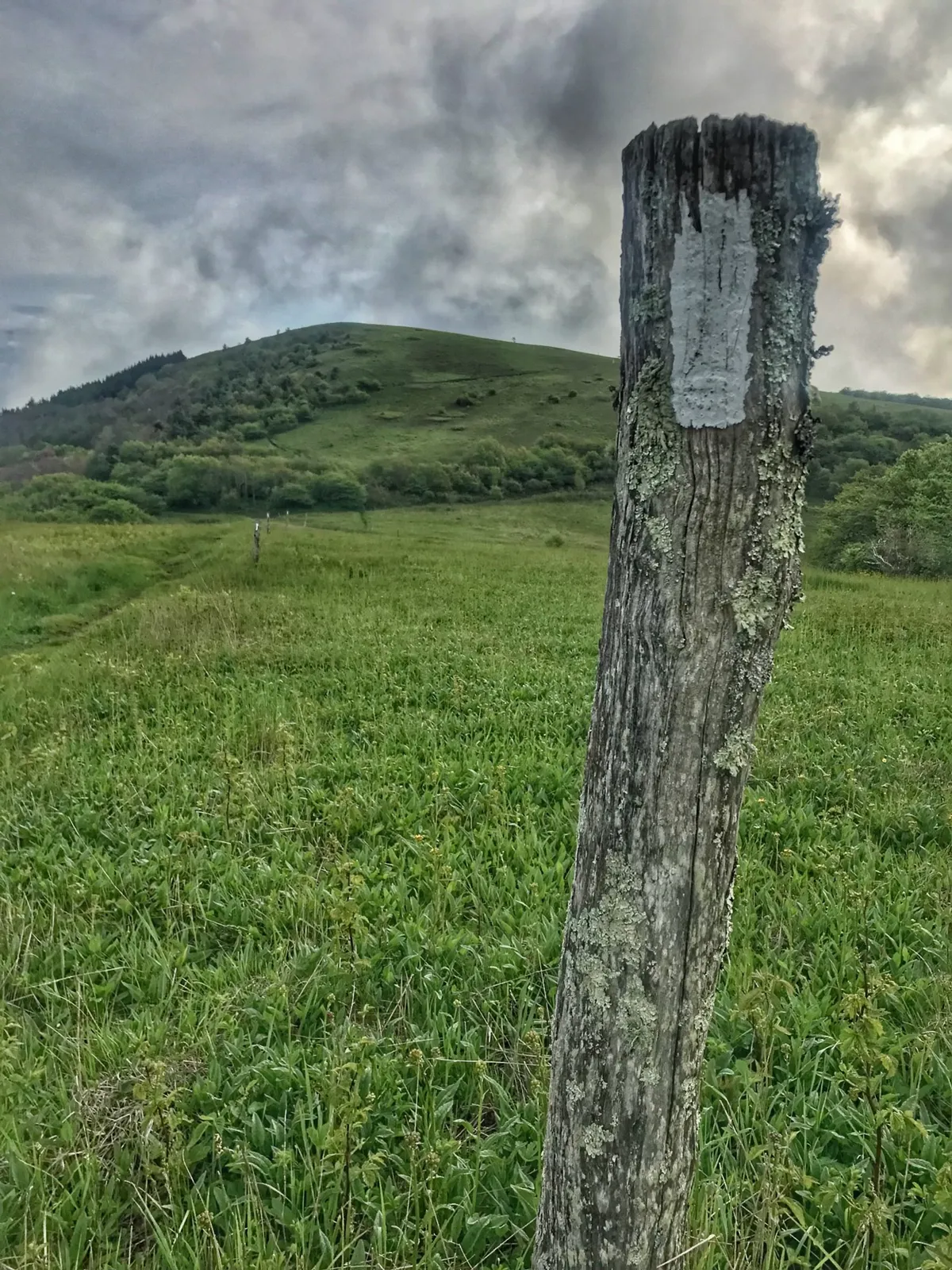 A weathered wooden post set in lush green grass, with rolling hills stretching into the distance. The peaceful landscape suggests the start of a hiking trail or a spot for quiet contemplation.